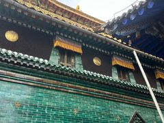 -塔尔寺-菩提树