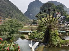 -靖西鹅泉风景区