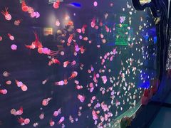 -石家庄极地海洋世界