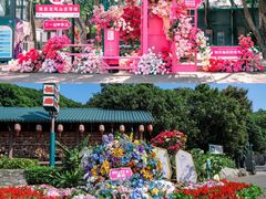 -龙凤山庄影视度假村