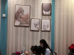 -猫小院猫主题咖啡厅(北锣店)