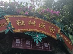 -独树成林