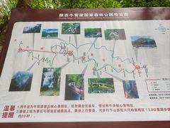 -牛背梁国家森林公园