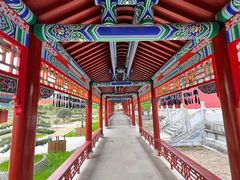 -江西龙虎山景区