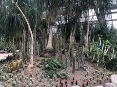 -南山植物园