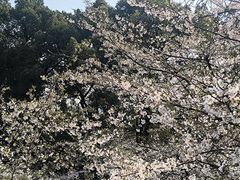 -南山植物园