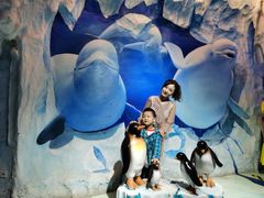 -芜湖新华联大白鲸海洋公园