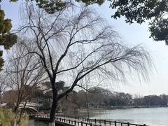 -黎记大排档(慈云路店)