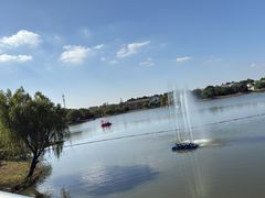 -上海长兴岛郊野公园