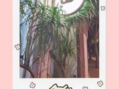 门面-WHEN PIGS FLY当猪飞