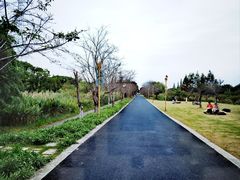 -长田漾湿地公园