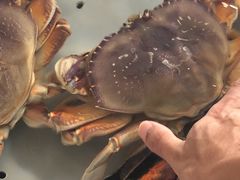 -南沙十九涌渔人码头-南门