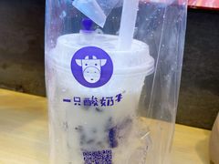 -一只酸奶牛(八一路店)