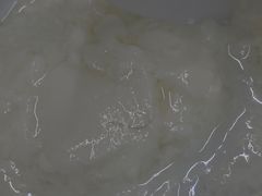 -清真马记宫廷奶酪(农光里店)