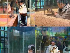 -顺德南宏海立方海洋公园