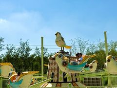 -水上乐园·欢乐世界