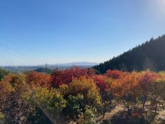 -北京十三陵国家森林公园蟒山景区