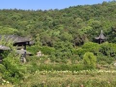 -龙寺生态园