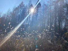 -山王坪喀斯特国家生态公园