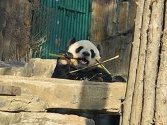 -大连森林动物园