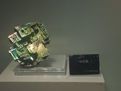 -中国地质博物馆