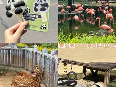 -石家庄市动物园