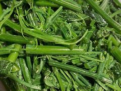 -鸽子窝(青塔店)
