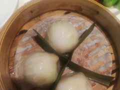 招牌虾饺妹-虾饺妹·酒家(金碧店)