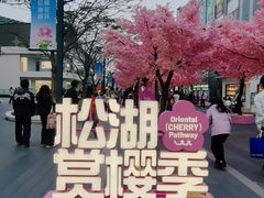 -东莞松山湖万象汇