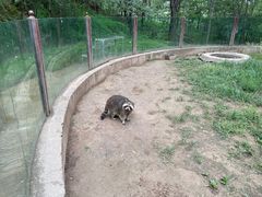 -青藏高原野生动物园
