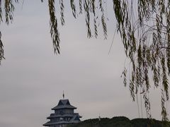 -金鸡湖桃花岛