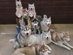 -TrueLove @ Neverland (Husky Cafe)