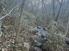 -安吉龙王山风景区
