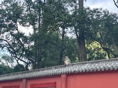 -黔灵山公园