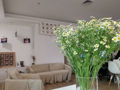 -iF摄影•全家福•证件照•形象照(南山店)