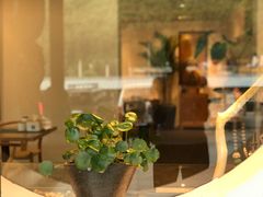 -和雅集素食(景区店)