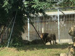 -上方山森林动物世界