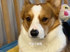-MAX伯爵沉浸式超级游戏体验馆·实景桌游·剧本杀(小时代店)
