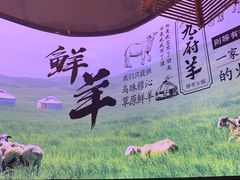 -九府羊·鲜羊火锅·烤串(新华路店)