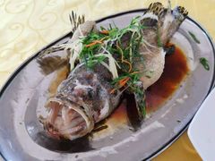 -十四涌水产中心