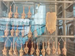 -谭厨中山传家菜.乳鸽.脆鲩鱼(华强北中航城店)