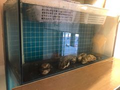 牡蛎-千吉日本料理(日本一条街店)