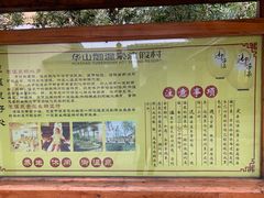 -华山御温泉度假村