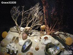 -亚龙湾中心广场·贝壳馆