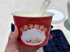 -船歌·鱼水饺青岛菜(金狮广场店)