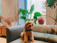 -山下C5cafe(惠通时代广场店)