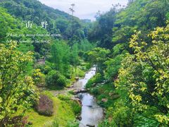 -云溪植物园