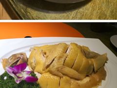 白切鸡-晶晶粤西特色美食(市桥店)