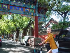 -北京国子监胡同