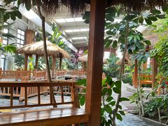 -南宫五洲植物乐园